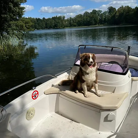 Holiday home Foresthouse Lubowo (Szczecinek)