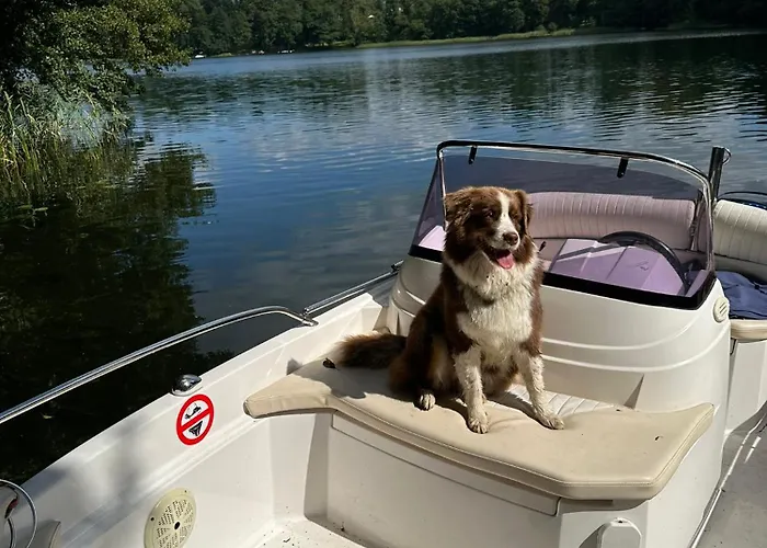 Hébergement de vacances Foresthouse Lubowo (Szczecinek)
